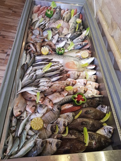 Photos of Supermarket Elsahel By Shazaco L.L.C