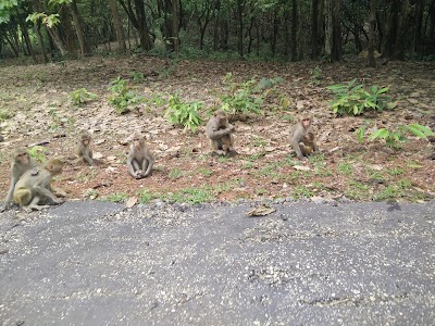 Photos of Hlawga National Park