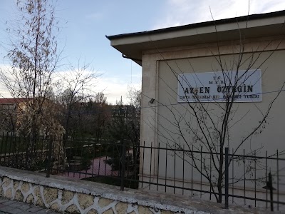 Aziz Önen Kız Anadolu Lisesi