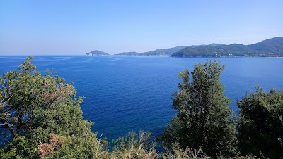 Photos of Hotel Gabbiano Azzurro