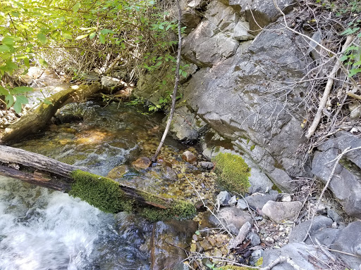 Intake Campground - Visual