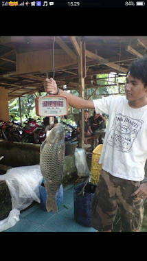 Sentra Ikan Segar Al-Barokah, Author: Irda Yanti Tanjung