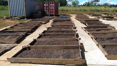 Photos of OKLAO Coffee Farms 2 歐客佬咖啡水洗處理廠