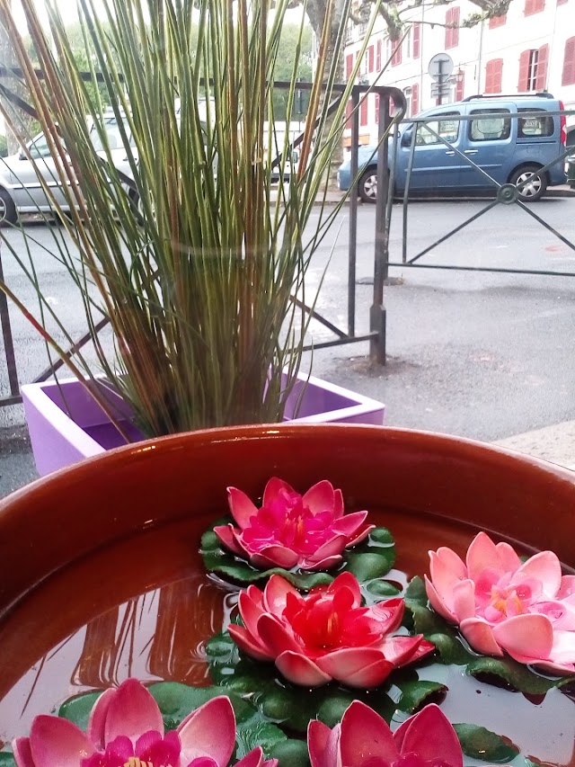 SAO Bayonne - Traiteur Thaï & Viet