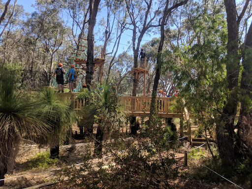 Treetops Adventure Yanchep Logo
