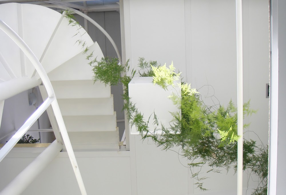 Lorenzo Alonso Architects