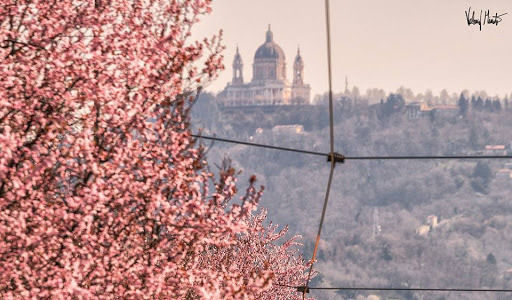 InTown, Personal Tourist Advisor Torino