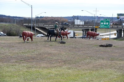 Cowboy Display