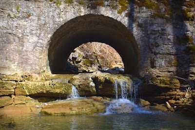 Bridges to the Past