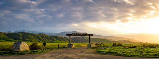 Laura Diaz Realtor - Thumbnail