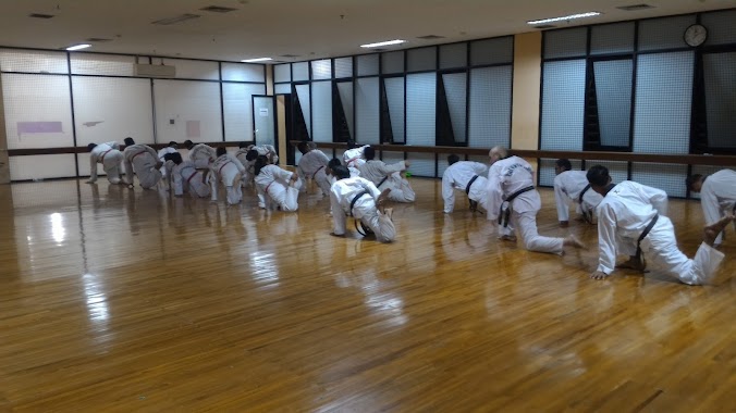 TAEKWONDO SACTI CLUB INDONESIA, Author: Temy Nasution