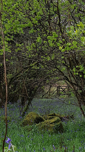 Trehudreth - Visual