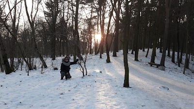 Photos of Plikakalnio Atodanga