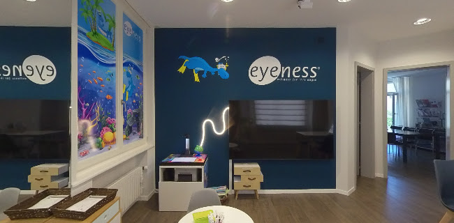 Kommentare und Rezensionen über eyeness AG