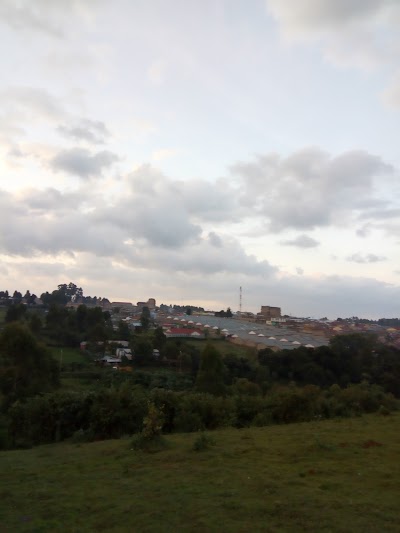 Photos of Mjini