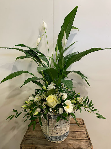 Thanks a Bunch Florist Ltd - Thumbnail