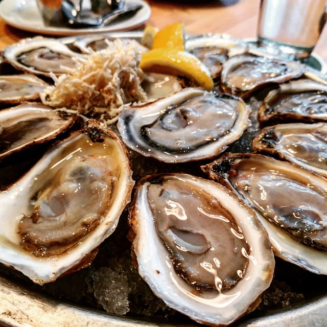 Oyster Boy