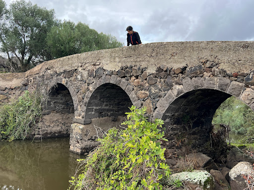 Ponte Romano sul Rio Murtazzolu