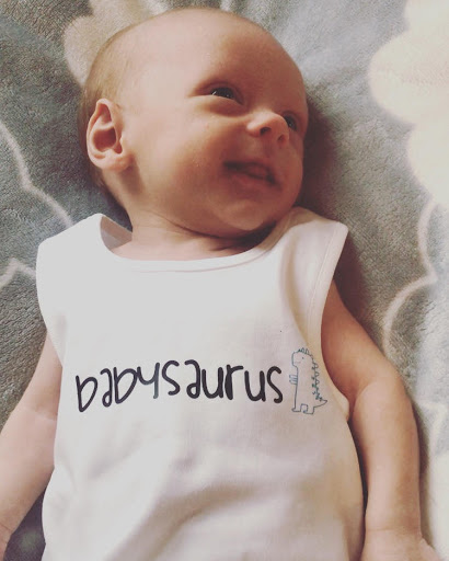 My Babysaurus - Visual