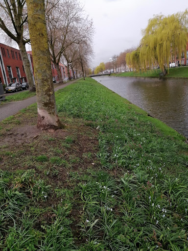 Hillevliet - Thumbnail