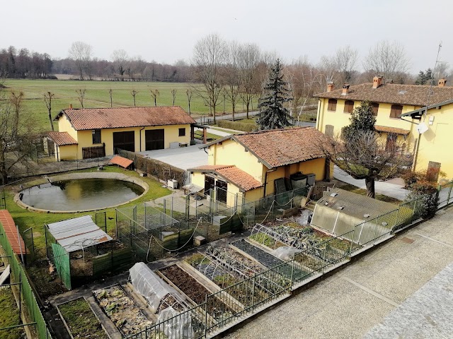 Abbaye de Morimondo