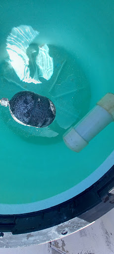 Productos y servicios integrales