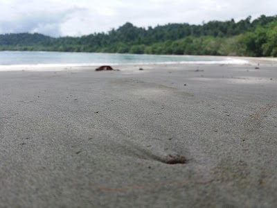 Photos of Pantai Undi