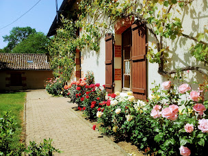 Photo n°1 de Domaine de la cadoue à Marçay (Agriculteur)