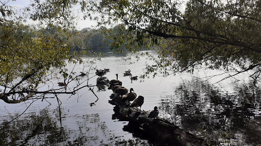 Wanderparkplatz Abtskücher Teich Gallery - Germany