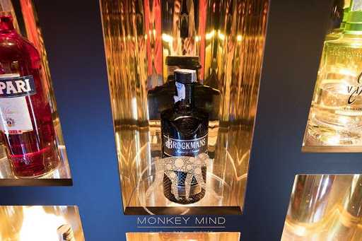 Monkeys Mind - Visual