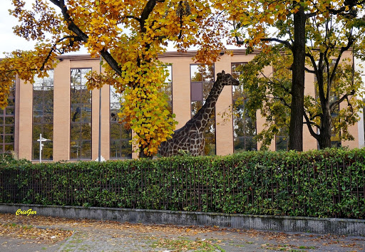 Associazione Scuole Tecniche San Carlo Gallery - Italy