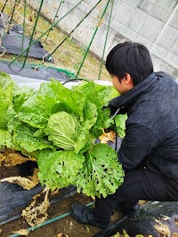 放課後等デイサービス たいよう