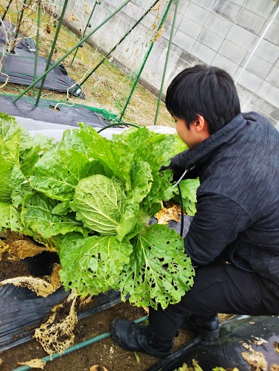 放課後等デイサービス たいよう