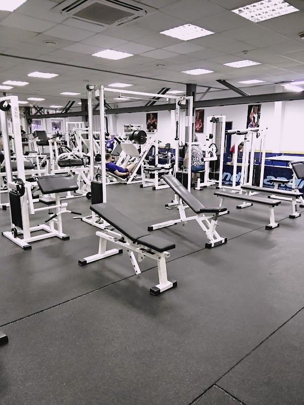 Спортивные клубы новокузнецк