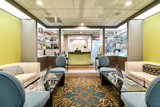 The Center For Aesthetics