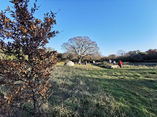 Bosco di Monteferraro - Thumbnail