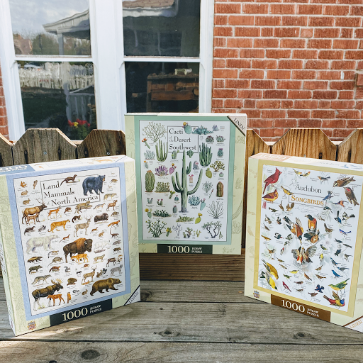 Bears & More - United States
