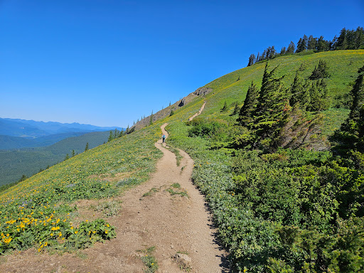 Dog Mountain Trail - Thumbnail