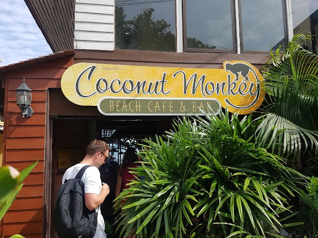 Coconut Monkey