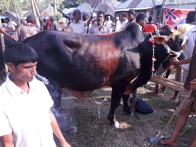 Photos of Dhelapir Haat.