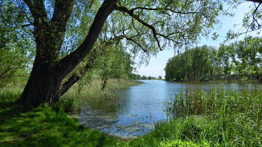 Slawenburg Garz - Thumbnail