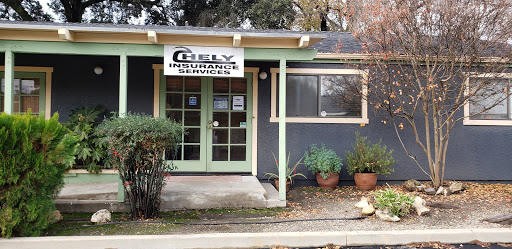 Chely Insurance Services - Thumbnail