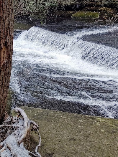 Soak Creek State Scenic River