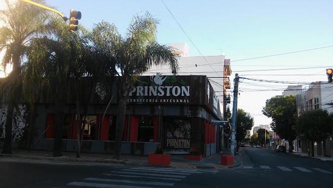 Prinston Morón, Author: olguis plateada