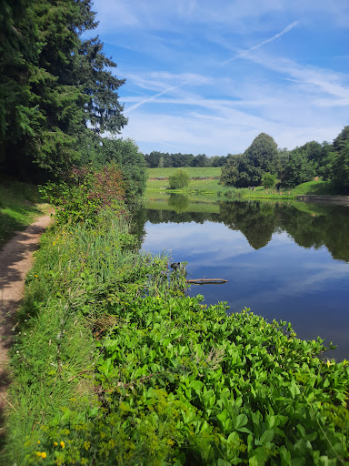 Lake Courcouronnes - Thumbnail