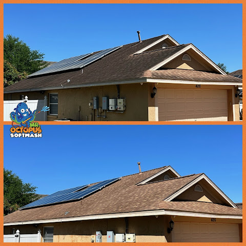 Front view of Mr. Octopus Softwash in  - Verified Pressure Washing Service near me.