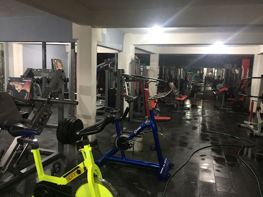 Bengal Tiger Gym