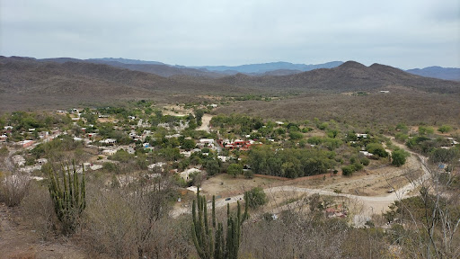 Alamos sonora - Visual