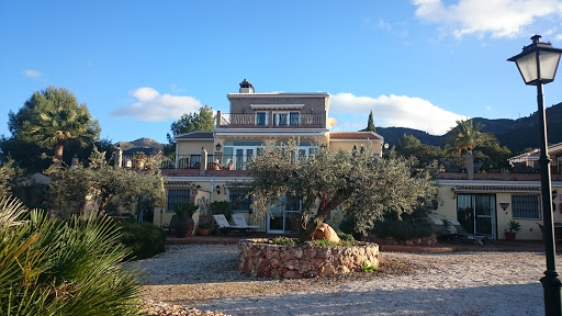 Finca Sonrisa - Visual