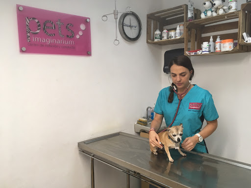 Veterinaria Pets Imaginarium Centro de Nutrición y Conducta
